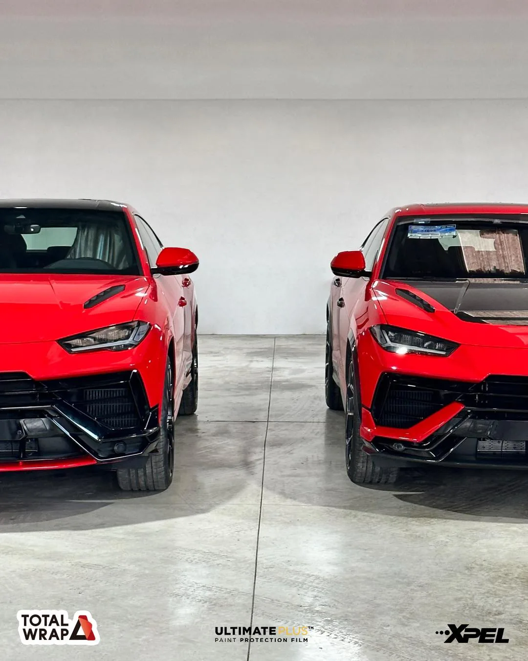Servicio PPF · Paint Protection Film